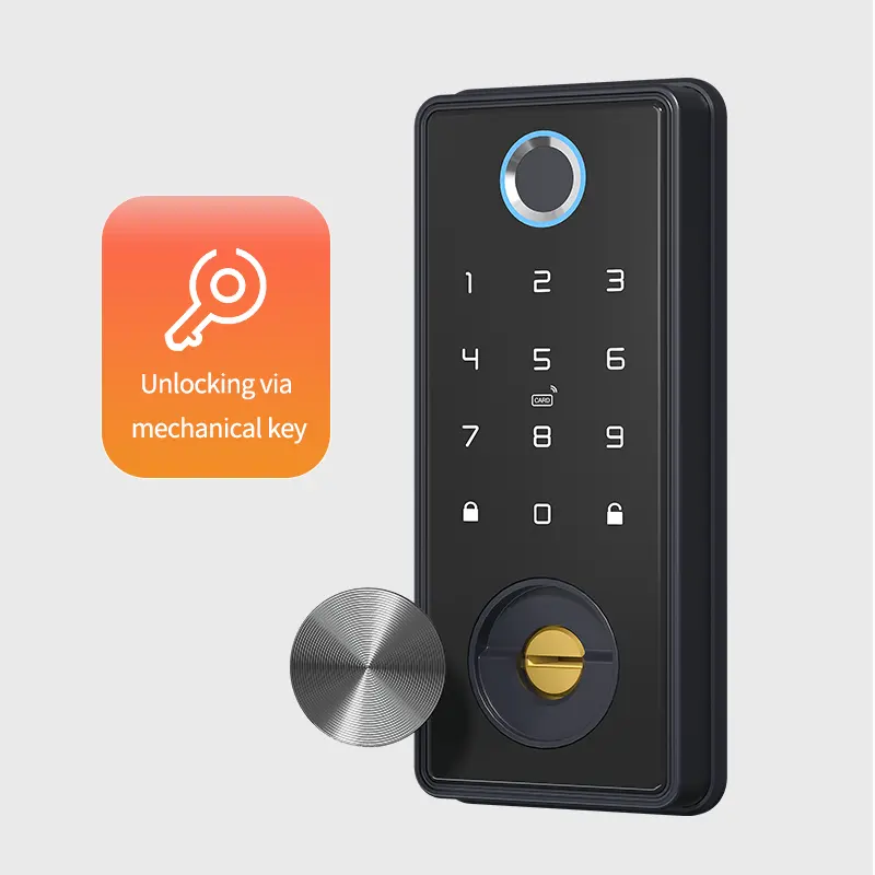 Locstar беспроводной пароль биометрический отпечаток пальца Tuya APP Intelligente Digital Cerradura Smart Deadbolt Lock деревянная дверь Guangdong