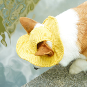Chongtapet Gorro tipo pescador monocromático con protección solar para perros pequeños, estilo moderno de verano - Product Image 2