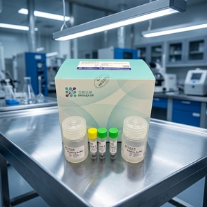 Kit d'isolement d'<span class=keywords><strong>ADN</strong></span> tissulaire/cellulaire animal - Purification universelle d'<span class=keywords><strong>ADN</strong></span> génomique pour PCR/qPCR/sequençage Modèle BA4003 50T Baiaoyikang - Product Image 2