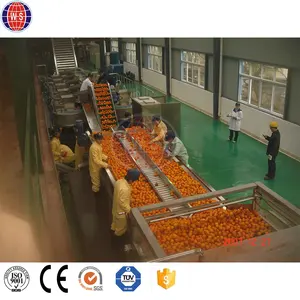 고품질 주스 생산 라인 기계 바나나 주스 제조 기계