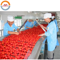 Automatische Kleinschalige Tomatenpuree Jam Productielijn Auto Industriële Tomatensaus Ketchup Maken Verwerkingsmachine Voor Verkoop