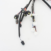 Produsen Perakitan Kabel Profesional China, Kabel Harness Sepeda Listrik