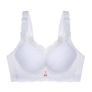 Sujetadores acolchados de realce para mujer, de talla grande Sujetador de encaje, sujetador con aros de dos copas, sujetador de lencería con copa AB C D - Product Image 2