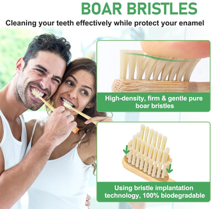 Brosse à dents en bambou à poils de sanglier purs, poils naturels de queue de sanglier, sans plastique - Product Image 2