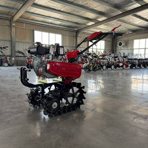 Offre spéciale Prix bon marché Machine de découpe d'herbe Machine de labourage et de hersage Motoculteur agricole - Product Image 1