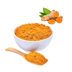 优质草药补充剂纳米姜黄根提取物95% 姜黄素粉