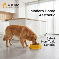 Gamelle portable géométrique moderne en plastique étanche pour animaux de compagnie, antidérapante, hexagonale, pour chat et chien, qualité alimentaire, sans BPA, empilable, gain de place