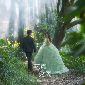 Forest Themed Green Tulle Ball Gown Strapless Empire Waist Wedding Dress For Photography And Portrait Sessions - Product Image 1