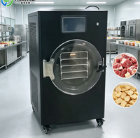 Machine de lyophilisation portable à bas prix pour la transformation de légumes croustillants à usage domestique, petite machine de lyophilisation