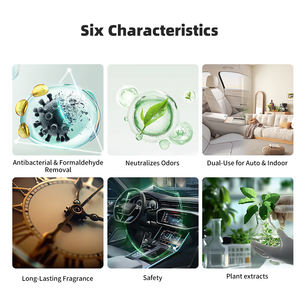 Aromatizante en Aerosol OEM, Eliminador de Olores a Humo, Aromatizante para Interiores, Desodorante para Autos - Product Image 6