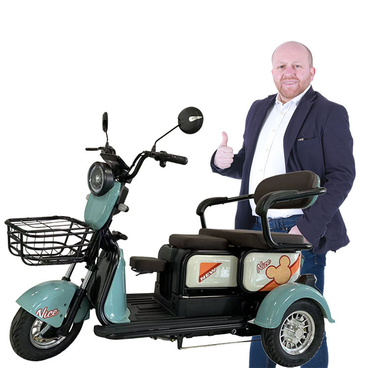 Electric Tricycle Rusi Electric Bike Tricycle Motorcycle 600W 48V