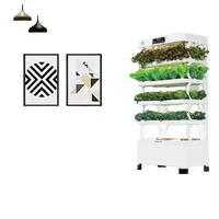 Kit de famille hydroponique LED Grow Light