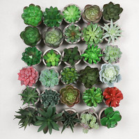 Offre Spéciale plantes succulentes élégantes plantes vertes Table artificielle décoration intérieure en Pot Mini bonsaï Pot de fleur