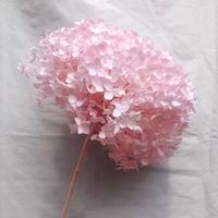 Bunga asli musim gugur dikelantang alami kualitas tinggi bunga Hortensia asli yang diawetkan Hydrangea dengan batang