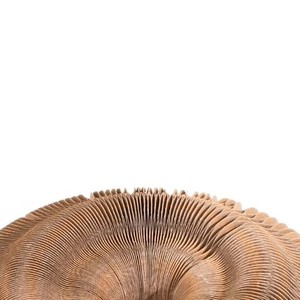 Accordion Cat Scratching Board Foldable Corrugated Paper Cat Toy With Bell Self Entertaining Cat <b>Bed</b> For Indoor Cats - Product Image 2