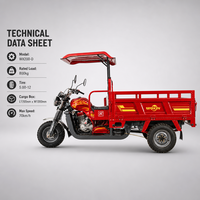 Tricycle de fret à essence 200CC refroidi par eau, capacité de charge 800KG, moto à trois roues pour commande en gros – Direct Usine
