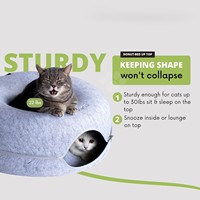 Lit tunnel pour chat haut de gamme, écologique, pour intérieur, avec grotte cachette, amovible, fournitures pour animaux de compagnie, maison en verre imprimée, forme carrée, pour petites races