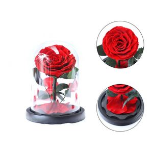 Lot de 3 roses éternelles rouges de luxe, préservées et séchées, sous cloche en verre - Product Image 4
