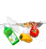 2l de détergent liquide pour le lavage de la vaisselle, élimine les taches d'huile, nettoie la vaisselle, les Fruits et légumes