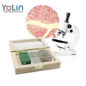 Teaching Microscope Biological Slides Prepared for Medical Experiments Useful Teaching Equipment Other,other CN;HEN YULIN