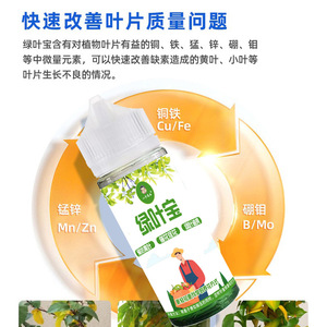 Fertilizante Líquido Vegetal Eight Old Men's Green Leaf Treasure 50ml para Floración y Prevención de Hojas Amarillas - Product Image 3