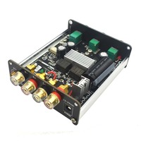 Ev ses TPA3116 Amp tiz bas ile 50W * 2 5.0 TPA3116D2 HiFi güç amplifikatörü bitmiş kurulu durumda