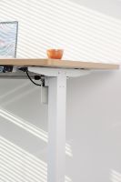 Bureau debout à double moteur pour étudiants Table d'étude en bois électrique à 3 étages et réglable avec cadre de table à moteur unique