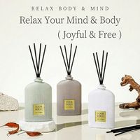 Ensemble diffuseur de parfum à bâtonnets pour cadeau, diffuseur d'huiles essentielles d'aromathérapie avec bâtonnets en rotin naturel pour Noël, vente en gros