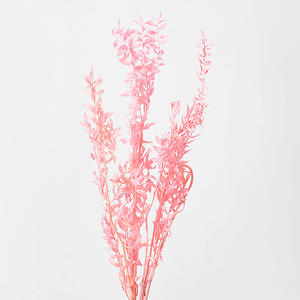 Ruscus italiano per la decorazione <span class=keywords><strong>fiori</strong></span> ricchi grandi <span class=keywords><strong>fiori</strong></span> secchi alti <span class=keywords><strong>fiori</strong></span> secchi bianchi Ruscus italiano - Product Image 3