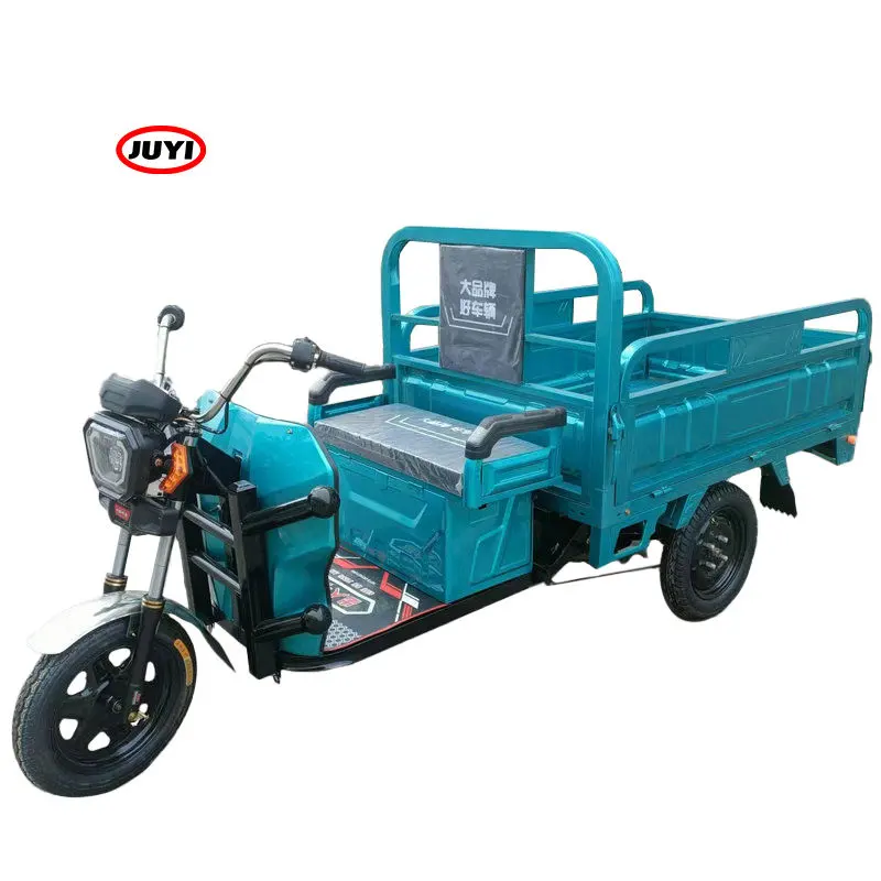 China Custom cheaper 3 wheel Heavy Cargo Carrier 24 Power Motor 1000W electro motorized tricycles for Pulling goods