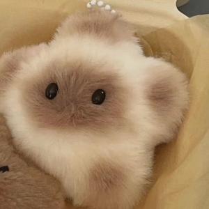 Lindo Capybara estrella Capibala Super suave felpa colgante bolsa llavero oso tipo muñeca dibujos animados pequeño Siam para aniversario - Product Image 6