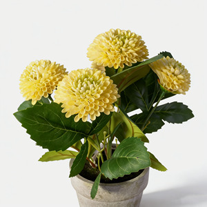 Meilleur prix pour les <span class=keywords><strong>fleurs</strong></span> artificielles de dahlia, <span class=keywords><strong>fleurs</strong></span> personnalisées de petite taille, vente <span class=keywords><strong>en</strong></span> gros, décoration de mariage, <span class=keywords><strong>fleurs</strong></span> réalistes <span class=keywords><strong>en</strong></span> <span class=keywords><strong>pot</strong></span> <span class=keywords><strong>en</strong></span> pulpe de papier - Product Image 4