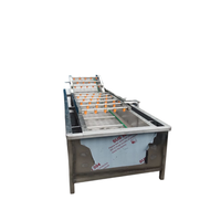 Hogesnelheids-bubbelreinigingsmachine voor het wassen van vers fruit en bessen