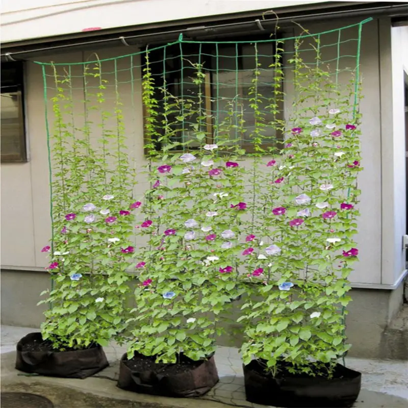 Nylon-Zwischenwände Netzunterstützung Kletterbohnenpflanze Knoblauchgarten wächst in CeReal Weidenfrüchte/Obst/Blumen