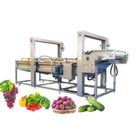 De Volautomatische Lijn Van De Fruitgroenteverwerkingsmachine Omvat Het Wassen Van Het Schillen Van Het Snijden Van Het Drogen-Voor De Kerncomponent Van De Notenmotor