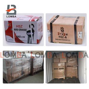 100 Kg 3M <span class=keywords><strong>Kawasaki</strong></span> Handbediende Kettingtakel 3M Handkatrol Voor Rolluikdeur Door Leverancier - Product Image 6