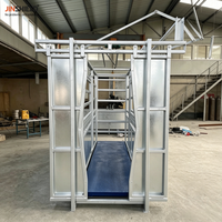 Support de tête de bétail galvanisé à chaud pour l'installation de la barrière d'encastrement