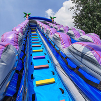 Toboggan aquatique gonflable commercial à double piste avec longue glissière, toboggan aquatique tropical palmier avec piscine, aire de jeux extérieure