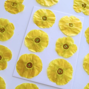 Flor Prensada de Madera de la India - Product Image 5