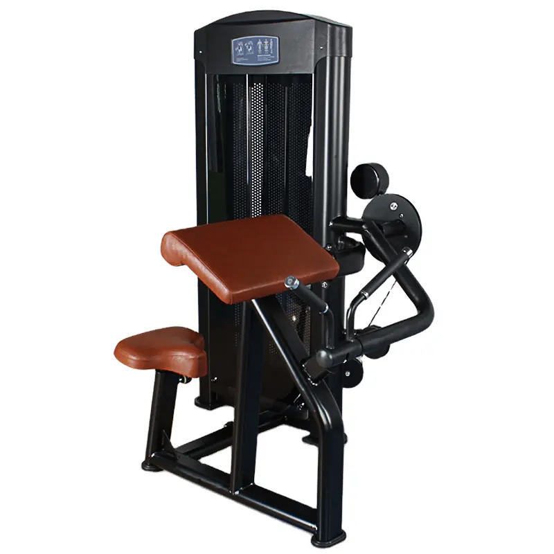 Équipement de Fitness Biceps Curl gym assis Biceps triceps flex machine