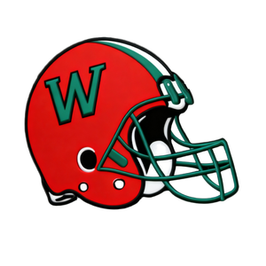 Wondove <span class=keywords><strong>22</strong></span>+ Prêt à expédier Patchs 3D de football <span class=keywords><strong>NFL</strong></span> brodés en sergé thermocollants DIY pour textiles de maison - Product Image 6