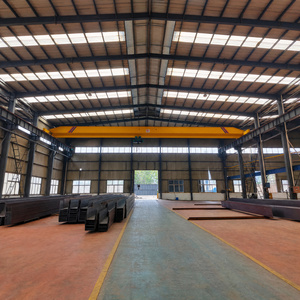 Pont roulant monopoutre avec amortisseur et dispositif de fin de course pour des opérations de levage sûres et des travaux de maintenance quotidiens - Product Image 3