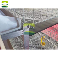 Nouveau système de cages à poulets de type H, construction robuste en acier galvanisé à froid, capacité de 54 à 60 poulets, espace d'alimentation optimisé, facile à utiliser