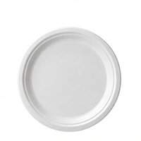 Assiette Ronde en Bagasse de 6 Pouces, Jetable, Écologique, Compostable, Biodégradable, de Qualité Alimentaire pour Fêtes, Traiteur et Pique-niques
