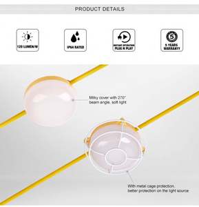 Luces LED de Cadena para Construcción con Clasificación IP65, Luz Blanca Fría, hasta 9000LM, 50 pies/100 pies de Longitud, Regulables, Garantía de 5 Años, Certificación CE, Venta al Por Mayor - Product Image 5