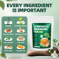 Sachets de thé de racine de pissenlit premium pour le soutien contre l'enflure, le bien-être lymphatique, infusion à froid, 5g, 10 sachets, mélange d'herbes naturelles, OEM ODM