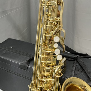 Saxophone <span class=keywords><strong>alto</strong></span> en laiton coloré de marque Sinomusik, instrument de musique à vent professionnel, avec logo personnalisé, vente en gros, directement de l'usine - Product Image 3