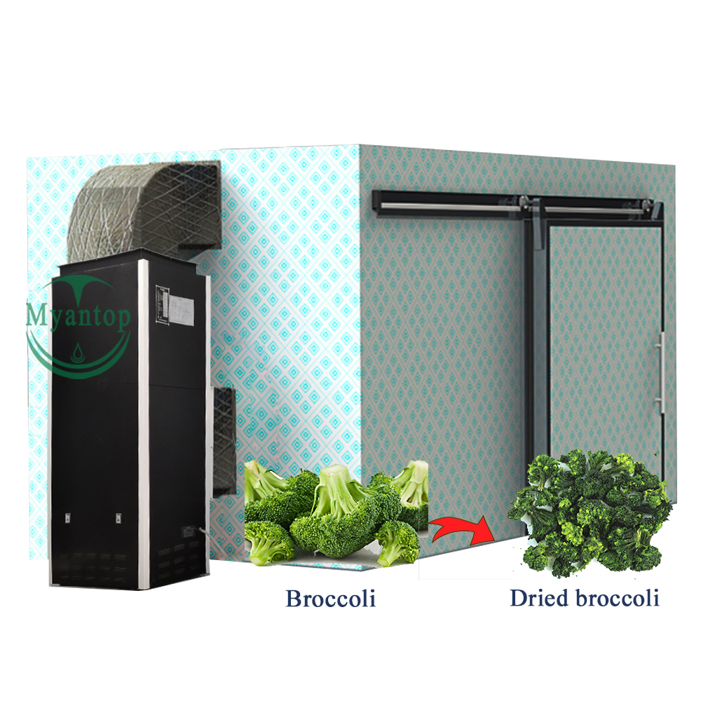 Высокоэффективная низкая цена, многофункциональная электрическая сушилка для пищевых продуктов, сушильная машина