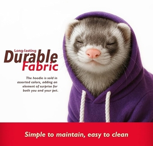 Bán Buôn Màu Xanh Lá Cây Dây Kéo Chồn Hoodie Phong Cách Ấm Số Lượng Lớn Quần Áo Vật Nuôi Mềm Áo Cho Vật Nuôi Nhỏ Thời Trang - Product Image 3