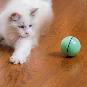 360 derajat berputar otomatis LED bola pintar mainan kucing USB isi ulang anak kucing lucu Chaser hewan peliharaan Modern ramah lingkungan Roller mainan - Product Image 5